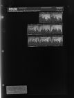 Portraits of Group of Men (8 Negatives), January 28-31, 1966 [Sleeve 64, Folder a, Box 39]